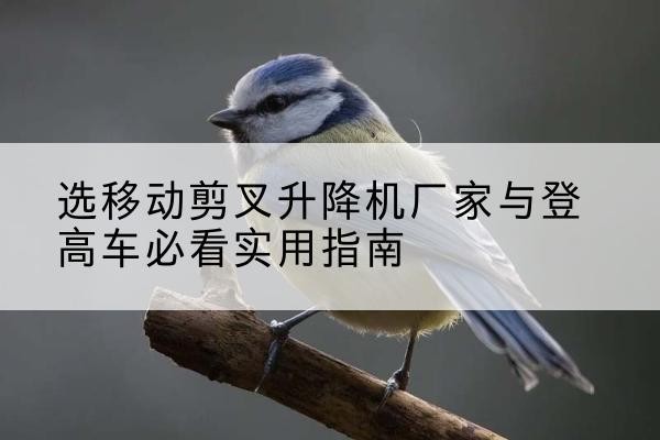 江安电动升降机厂家-选移动剪叉升降机厂家与登高车必看实用指南