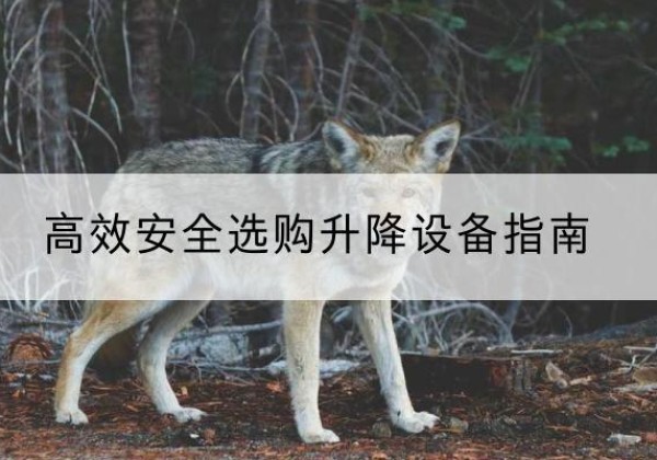 江安升降货梯厂家推荐-*安全选购升降设备指南