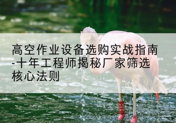 江安剪叉式升降机厂家-高空作业设备选购实战指南-十年工程师揭秘厂家筛选核心法则